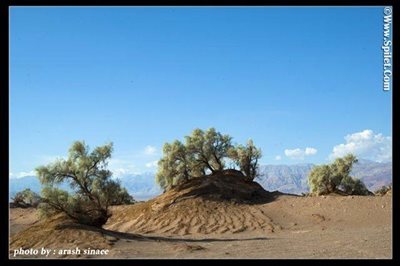 تور-3-5-روزه-کویر-لوت-2022