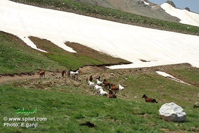 تور-ارومیه-دره-قاسملو-تا-دریاچه-دالامپر-2711