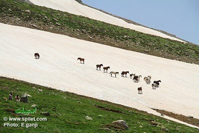 تور-ارومیه-دره-قاسملو-تا-دریاچه-دالامپر-2712