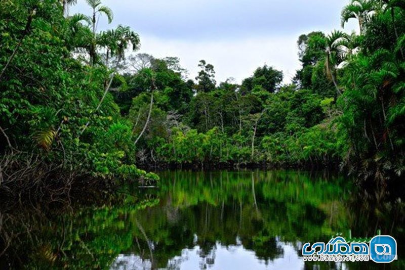 تور نوروز جنگلهای آمازون (کشتی کروز) و برزیل