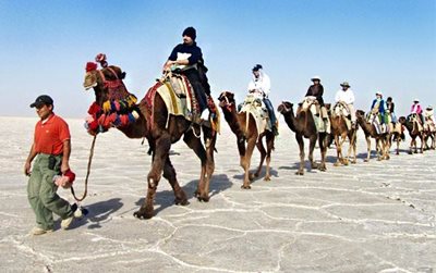 تور نوروز عبور از عرض کویر با قافله شتر