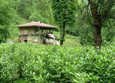 تهران-تور-آبشار-آهکی-4412