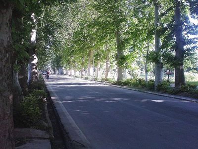 تهران-ارومیه-و-مراغه-5468