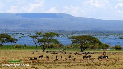 تور-دور-آفریقا-اوگاندا-تانزانیا-کنیا-و-زنگبار-5659