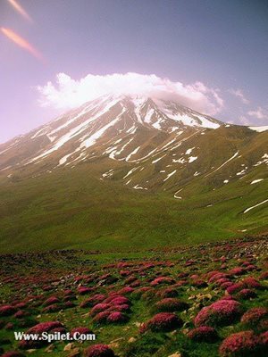 تور-صعود-دماوند-بام-ایران-فولبرد-5940