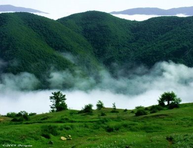 تهران-تور-طبیعت-گردی-جنگل-ابر-موسیقی-و-طبیعت-بکر-45028