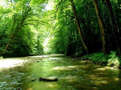 تور-جنگل-پیچک-پنج-شنبه-22-مهر-49937