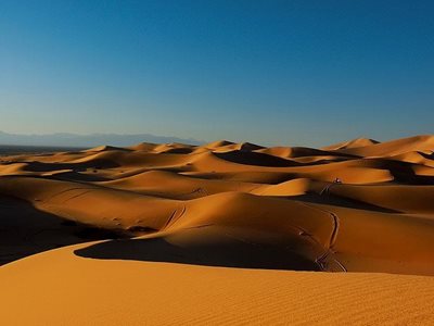 تور-کویر-کاراکال-58746