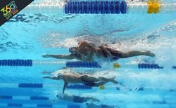 با دوره های آموزش شنای صدف  مانند حرفه ای ها شنا کنید