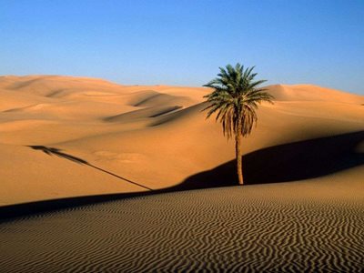 تور-گروهی-کویر-مصر-65026