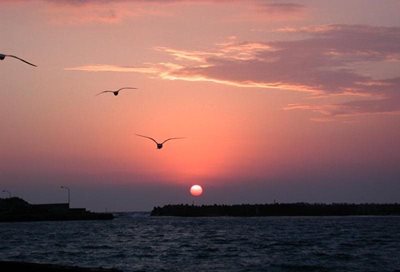 تهران-تور-بندرعباس-1-گشت-قشم-65281