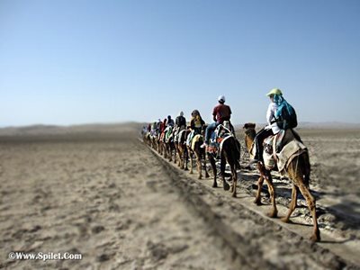 تور نوروز عبور از عرض کویر با قافله شتر