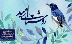 10% تخفیف ورودی جشنواره عیدانه بنیاد خیریه روشنای امید ایرانیان