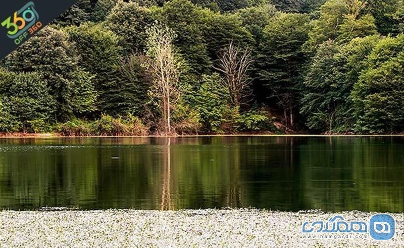بازدید از دریاچه و جنگل زیبای الیمالات با آژانس مسافرتی سرزمین آریایی