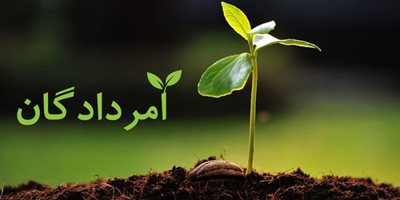 جشن-امردادگان-100143
