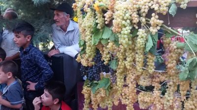 ارومیه-جشن-انگور-100192