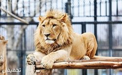 30% تخفیف باغ وحش پارک ارم، بزرگترین باغ وحش ایران ویژه شنبه تا پنجشنبه