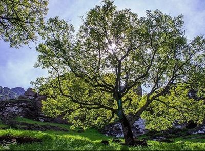 تهران-تور-سه-روزه-دومولی-اردبیل-116777