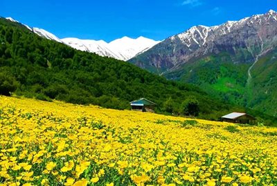 تور-یک-روزه-دشت-دریاسر-سوئیس-ایران-116782