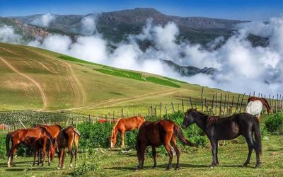 تور-نئو-به-سوباتان-116788