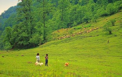 تور-یک-روزه-آبشار-ترز-و-سد-لفور-حرکت-از-تهران-116829