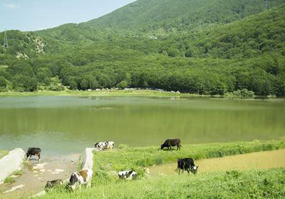 تور کمپینگ دریاچه ویستان