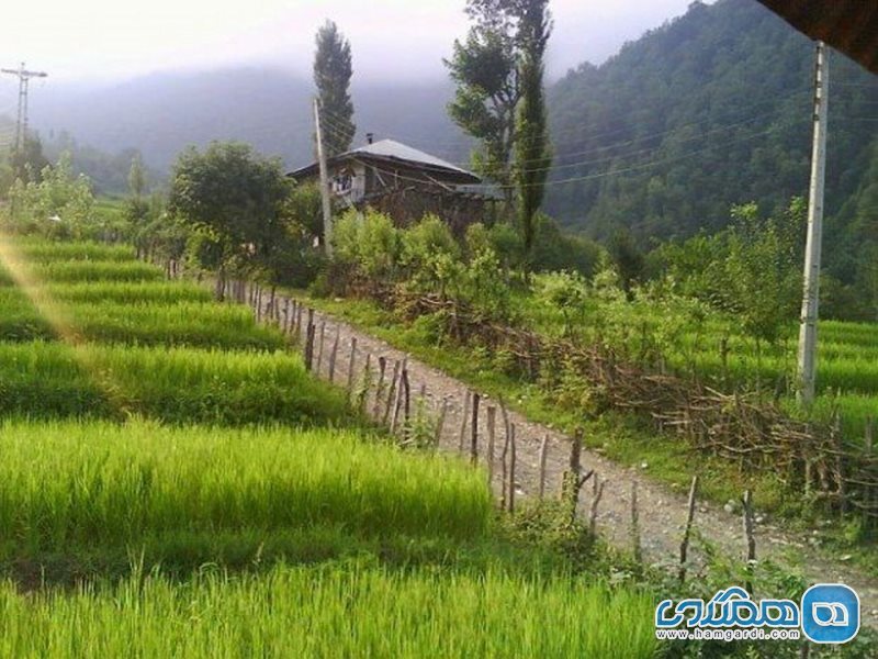 روستای پلام