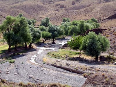 روستای بهاباد