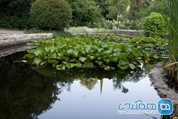 باغ گیاه شناسی ملی ایران