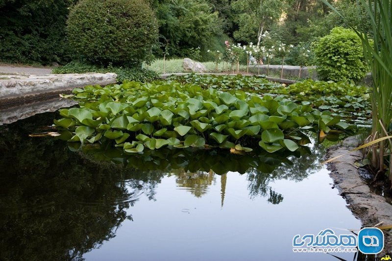 باغ گیاه شناسی ملی ایران