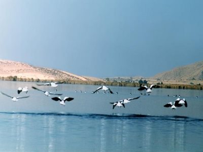 شیراز-دریاچه-مهارلو-1894