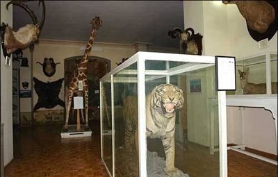 موزه جانور شناسی کرج