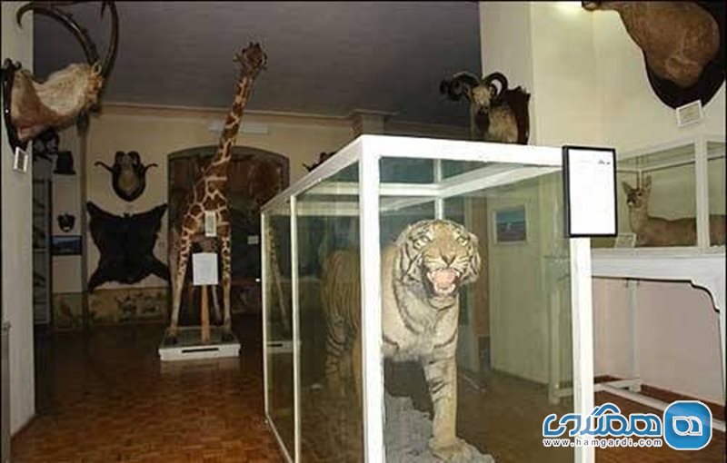 موزه جانور شناسی کرج