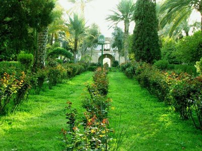 طبس-باغ-گلشن-2377