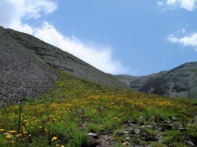 چناران-چشمه-سبز-1465