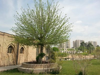 تهران-باغ-موزه-قصر-14911