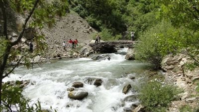 پیرانشهر-جنگل-های-پردانان-7718