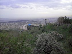 ارتفاعات شهرک شهید محلاتی