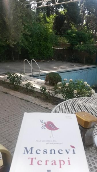 استخر هتل نادریه