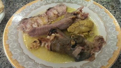 طباخی شاندیز