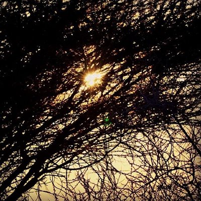 بندر-لنگه-خور-ملو-42336