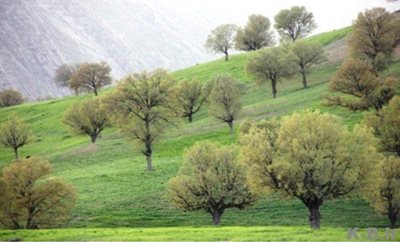 روستای گزدون