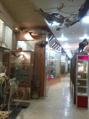 اراک-موزه-جانورشناسی-دانشگاه-اراک-25524