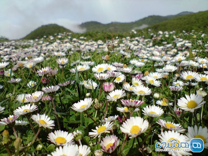 روستای اسپیلی