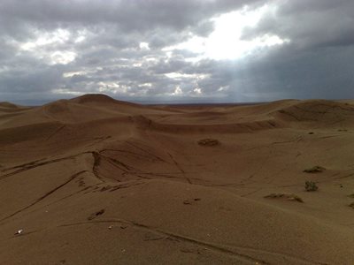 بافق-کویر-کاراکال-4807