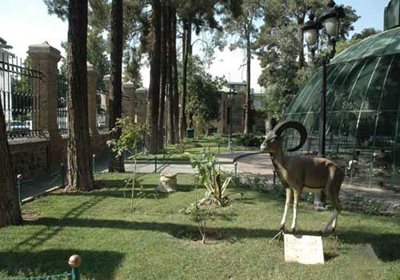 تهران-موزه-حیات-وحش-و-آثار-طبیعی-هفت-چنار-8566