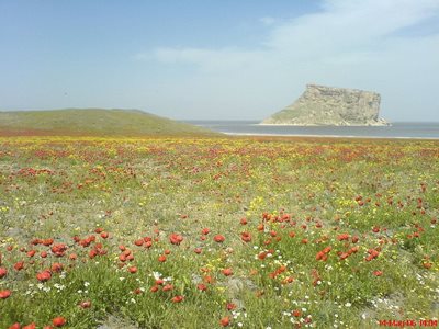 قلعه کاظم داشی