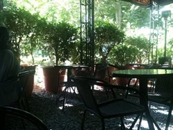 کافه ویونا (باغ فردوس)