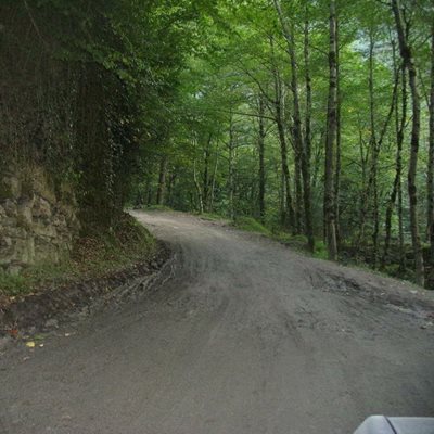 پَره سَر