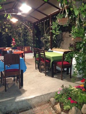 تهران-گالری-آریا-29327